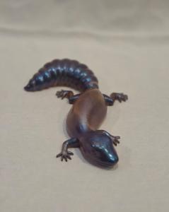 Salamander
